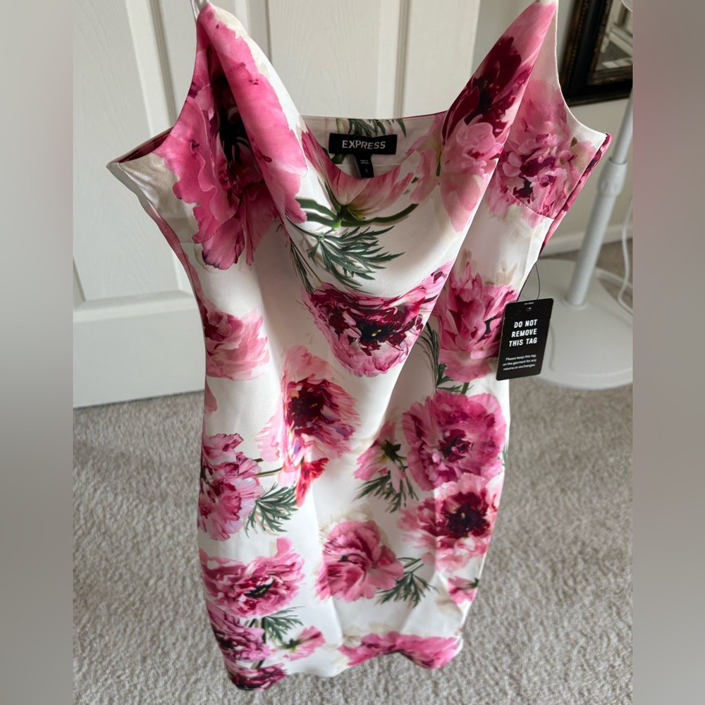 Express Pink Floral Sleeveless mini Dress